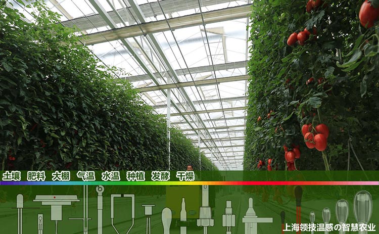 SMART AGRICULTURE